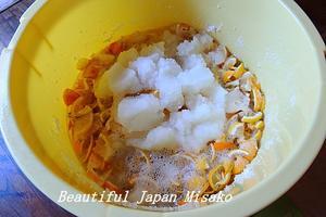 柚子＆檸檬の酵素　一日目。☆､･：`☆･･ﾟ･ﾟ☆。。 - Beautiful Japan 絵空事