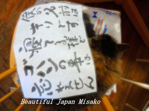キリの想い・・・&#127860;。☆､･：`☆･･ﾟ･ﾟ☆。。 - Beautiful Japan 絵空事
