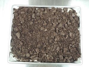 アメリカのケーキ・Dirt Cake(泥のケーキ）を作る - じゃポルスカ楽描帳