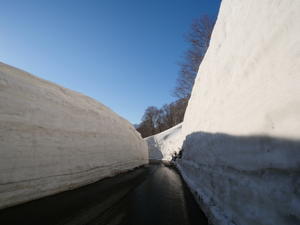 月山 雪の回廊 - 四季彩々