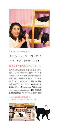 猫のお留守番 やまとくん編 ゆきねこ猫家族