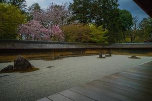 2019京都桜～龍安寺 - 鏡花水月