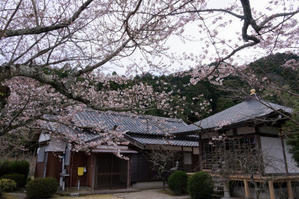 山麓沿いの春 - katsuのヘタッピ風景