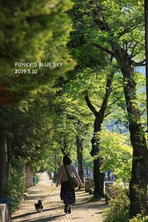 旅の朝 - FUNKY'S BLUE SKY