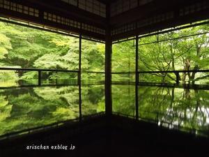 瑠璃光院の新緑シャワー＠京都でオフ会 - アリスのトリップ２