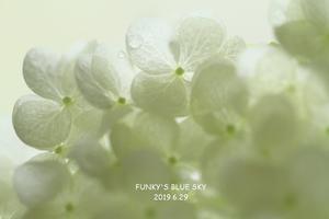 アナベル*・Ⅱ - FUNKY'S BLUE SKY
