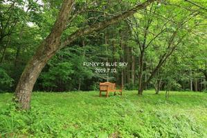 初夏の山へ♪　（紫陽花＆ラベンダー） - FUNKY'S BLUE SKY