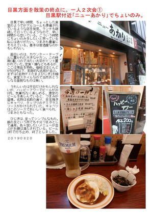 目黒方面を散策の終点に。一人２次会①　目黒駅付近｢ニューあかり｣でちょいのみ。
