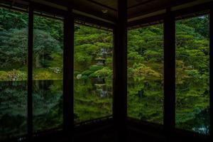旧竹林院～藤袴とアサギマダラ - 鏡花水月