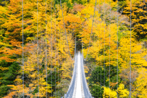 秋の日　Ⅲ - 長い木の橋