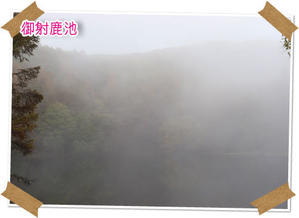2019年10月19日　御射鹿池とおしどり隠しの滝 - 週末は、愛犬モモと永吉、拓海と洋お出かけ！Kimi's Eye