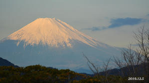この日は‥ 『90km先の富士』 - 写愛館