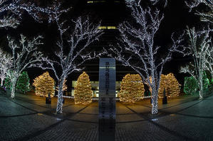 2019クリスマスイルミネーション@京セラ本社 - デジタルな鍛冶屋の写真歩記