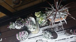 2018年大雪の年(゜ο°;)ノー?室外機カバー製作 - Chachakoの庭　(^-^)/