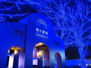 青の洞窟 SHIBUYA 2019 - 幡ヶ谷写真部 ～写真好き司法書士の写真ブログ～