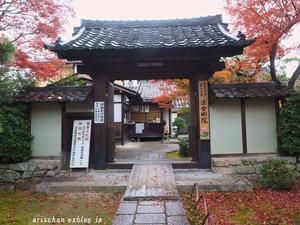法金剛院＠２０１９京都の紅葉 - アリスのトリップ２