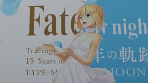 TYPE-MOON展[Fate stay night 15年の軌跡 ] イベントレビュー - 天地無用(小包届き過ぎ）