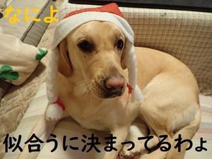 幸せクリスマス。 - りんご村