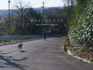 冬休みのアルバム「初走り」 - yamatoのひとりごと