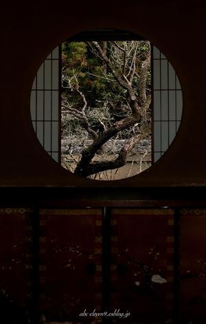 御寺泉涌寺 別院 「雲龍院」 - A  B  C