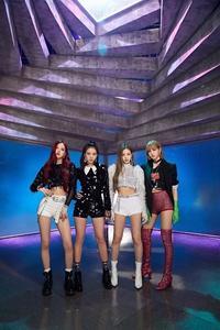 ｂｌａｃｋｐｉｎｋのタグまとめ エキサイトブログ