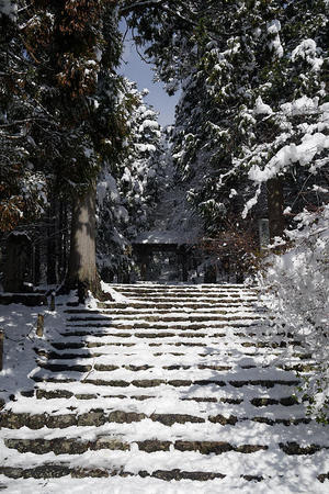 寒波到来！待望の雪景色@常照皇寺　其の二 - デジタルな鍛冶屋の写真歩記
