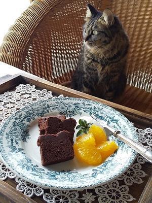 「マヌカンピス」のテリーヌショコラ - キッチンで猫と・・・