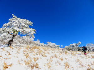 紺碧なお空の下で真っ白な雪山を楽しむ～【台高】2/11 - 静かなお山の森歩き～♪