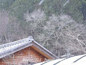 一度はみたかった・・・雪･ﾟ☆､･：`☆･･ﾟ･ﾟ☆。 - Beautiful Japan 絵空事