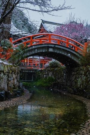 下鴨神社の雪景色 - 鏡花水月
