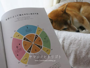 犬の本【手づくり犬ごはん】 - yamatoのひとりごと
