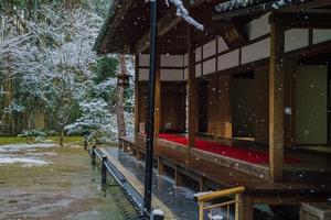 高桐院の雪景色 - 鏡花水月