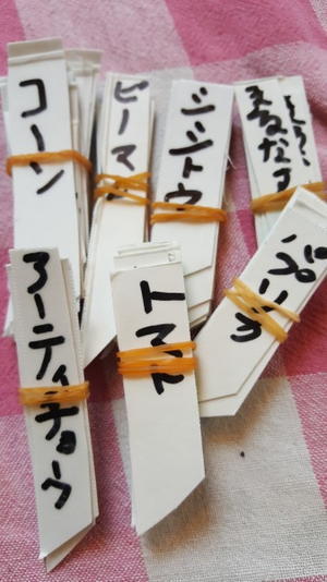 種蒔き始め - 鎌倉fonteの日常