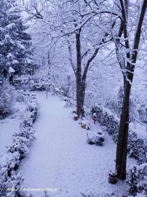 トスカーナの田舎に雪が降りました - イタリアワインのこころ