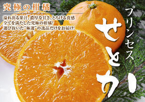 令和6年の究極の柑橘「せとか」は残すところファミリータイプのみで4月30日が最終出荷！早い者勝ち！ - ＦＬＣパートナーズストア