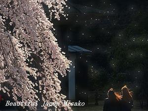 のびのびやりてぃぃ～～～！！！(≧∇≦) - Beautiful Japan 絵空事