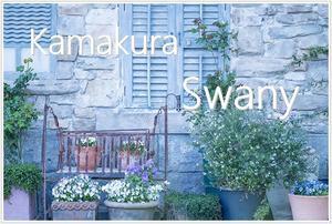 鎌倉スワニーの可愛いお庭 - エーデルワイスブログ