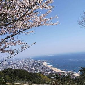 満開の桜と須磨の街と海 - 空＊海＊花