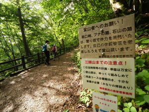 東京 楽しい森歩き - 四季彩々