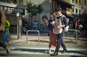 いずみの森 - プラトンの洞窟