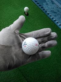 Snell Golf Get Sum 連続スリーパット 2 Snell Golf Get Sum 連続スリーパット 2