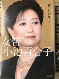 岸恵子 わりなき恋 を読んで とすインターの あれやこれや