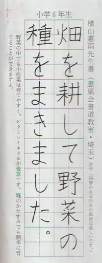 よこやまけいう の 日々是好日