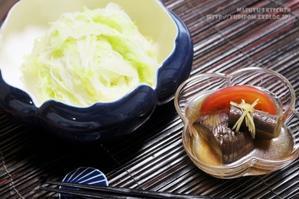 【ぎふベジ】キャベツ編②　～　たっぷりキャベツの基本の夏ヤサ麺（野菜麺・野菜素麺・そうめん）でクールダウン。 - スパイスと薬膳と。