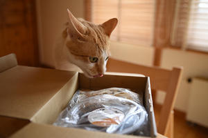 初めてのアレ入りおいしいもの便♪ - ちわりくんのありふれた毎日III