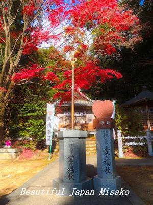 紅葉の寂光院　犬山･ﾟ☆､･：`☆･･ﾟ･ﾟ☆12月5日 - Beautiful Japan 絵空事