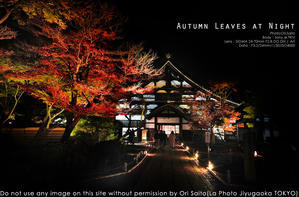 京都、あの夜。高台寺ライトアップをSIGMA 24-70mm F2.8 DG DN Art + sony α7RIV 実写 - さいとうおりのカメラに恋するフォトレッスン