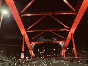 橋と夜景とルミナリエ - ブルちゃんのログ