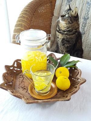 庭の柚子で柚子茶を♪ - キッチンで猫と・・・