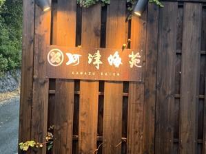 河津桜の里　河津へ　～その3～ - おれんぢcafe(常世の圀幸せの国茨城)